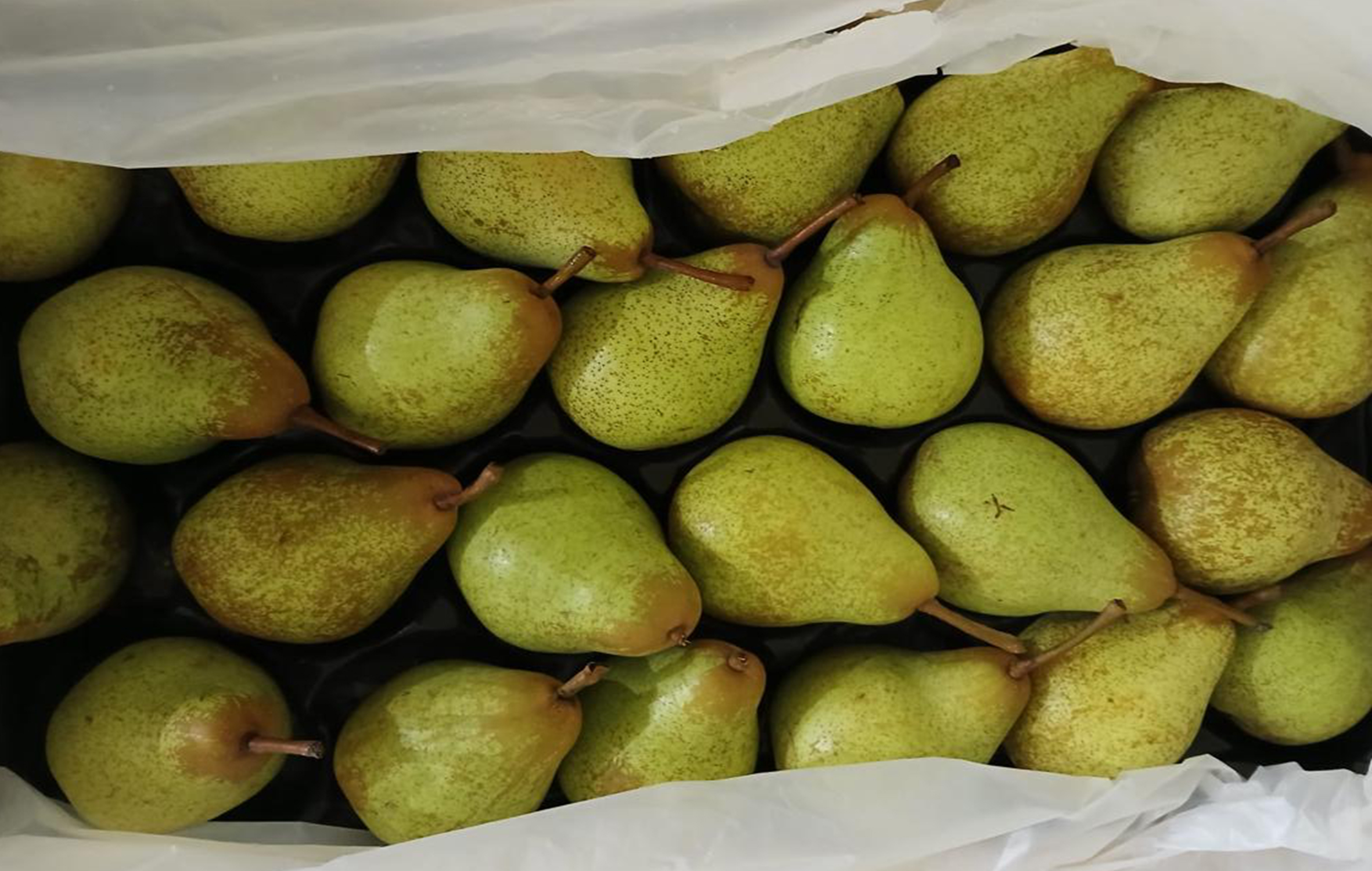 منتجات غذائية متنوعة